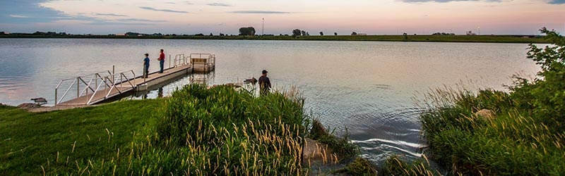 Contact Mayor &amp; Council